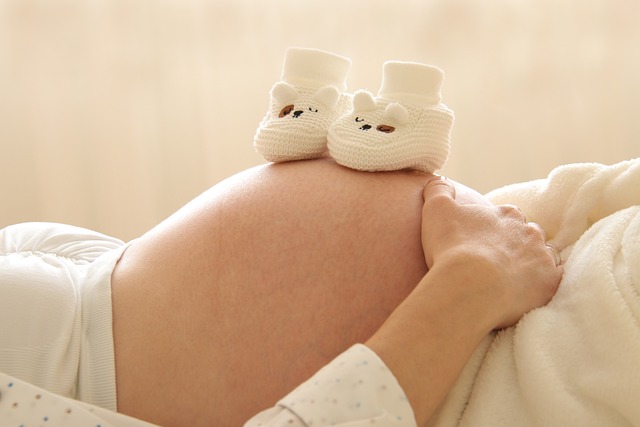 Surrogacy Program